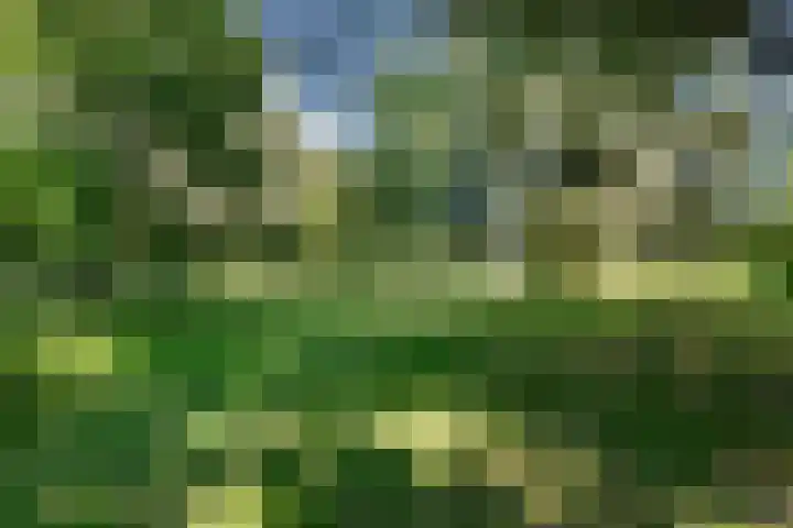 Essebroek 3 Ingen thumbnail 35