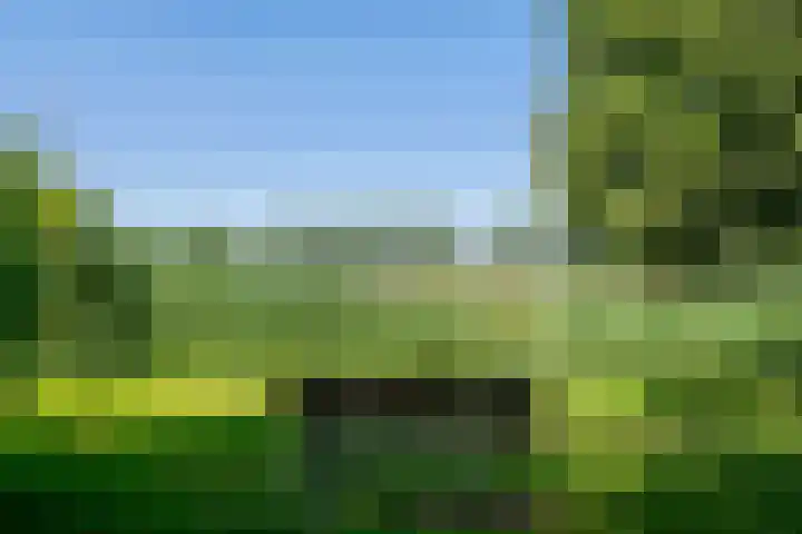 Essebroek 3 Ingen thumbnail 36