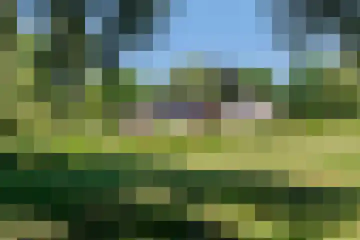 Essebroek 3 Ingen thumbnail 37