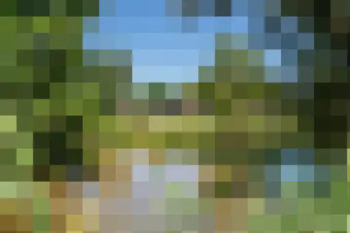 Essebroek 3 Ingen thumbnail 38