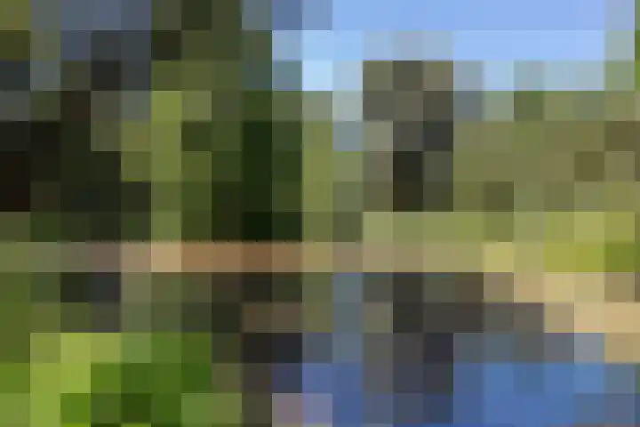 Essebroek 3 Ingen thumbnail 39