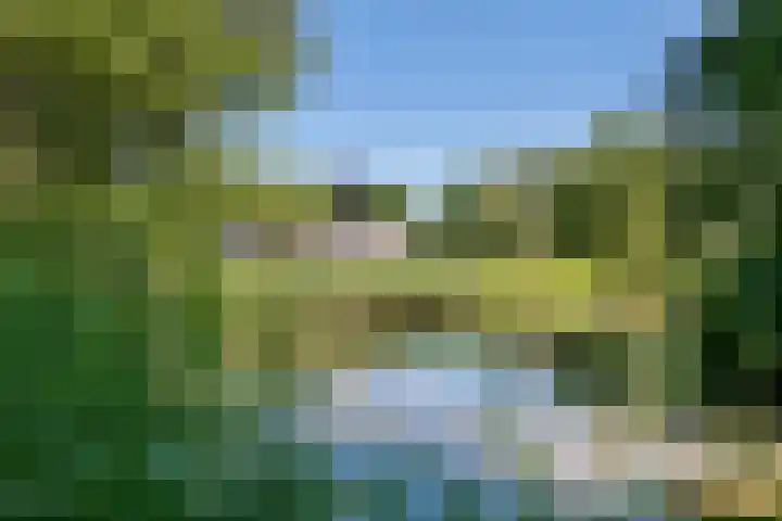 Essebroek 3 Ingen thumbnail 4
