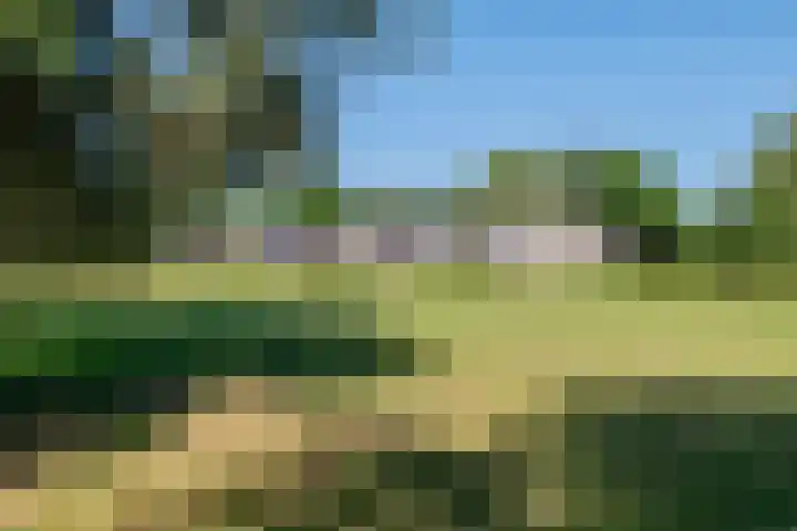 Essebroek 3 Ingen thumbnail 40