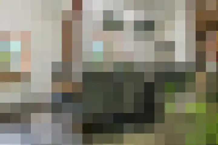 Essebroek 3 Ingen thumbnail 49