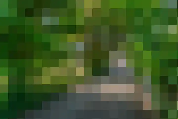 Essebroek 3 Ingen thumbnail 7