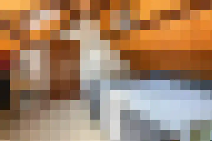 Essebroek 3 Ingen thumbnail 75