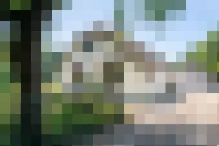 Essebroek 3 Ingen thumbnail 8