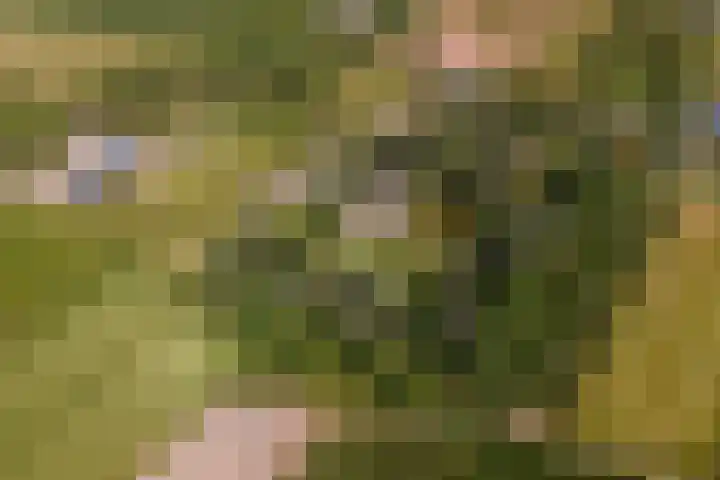 Essebroek 3 Ingen thumbnail 99