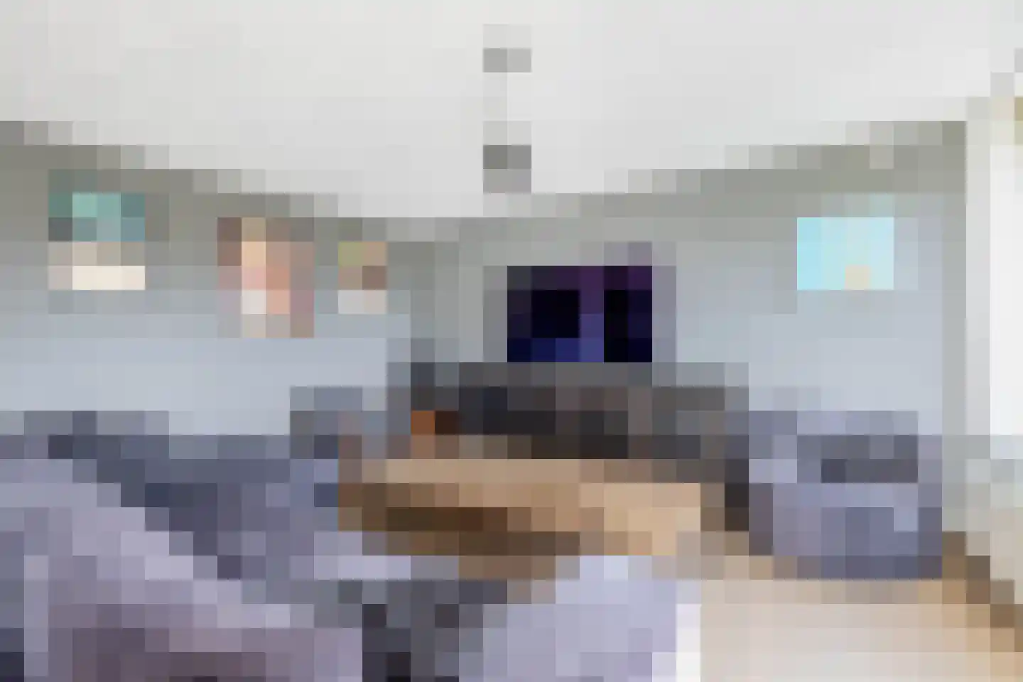Essehout 130 Zoetermeer thumbnail 14