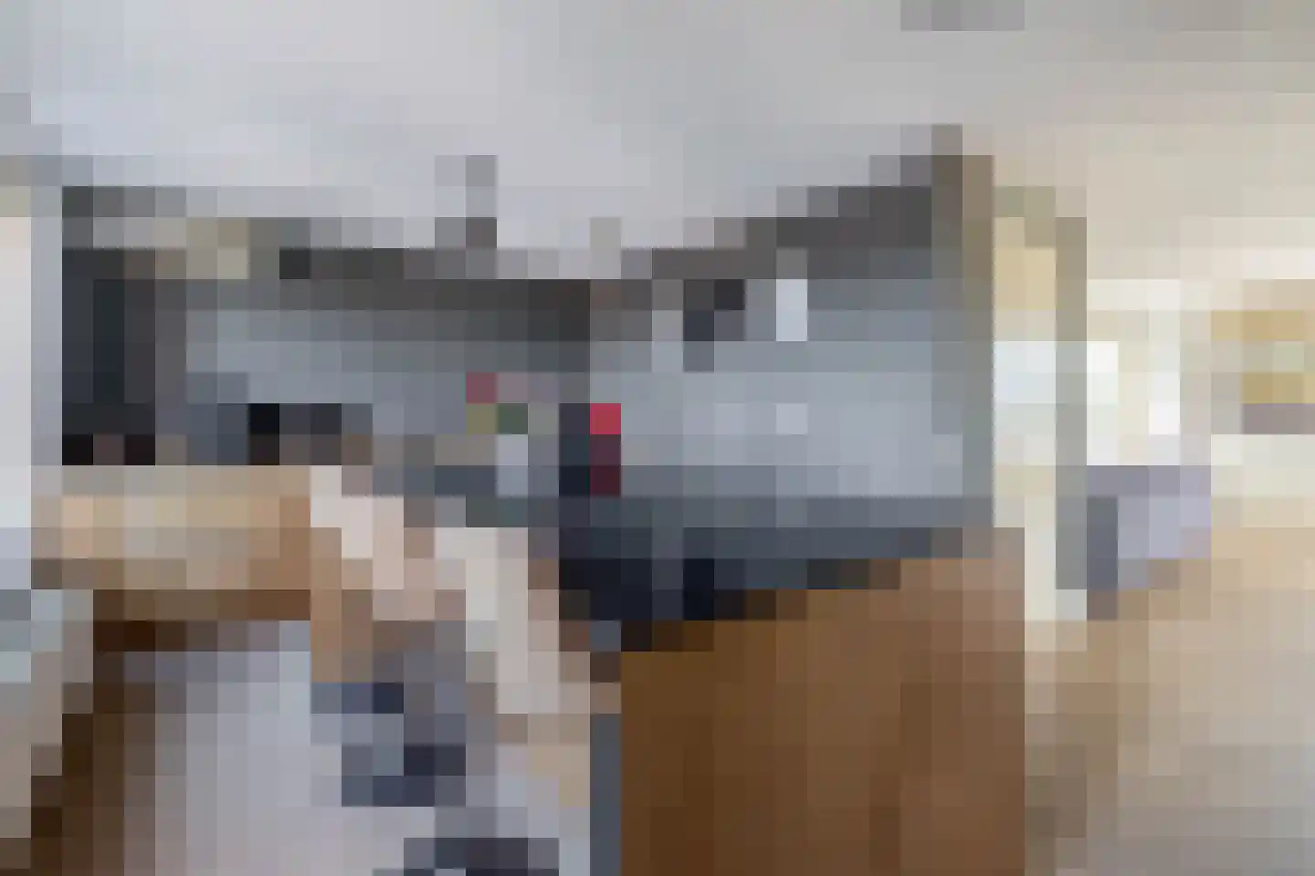 Essehout 130 Zoetermeer thumbnail 18