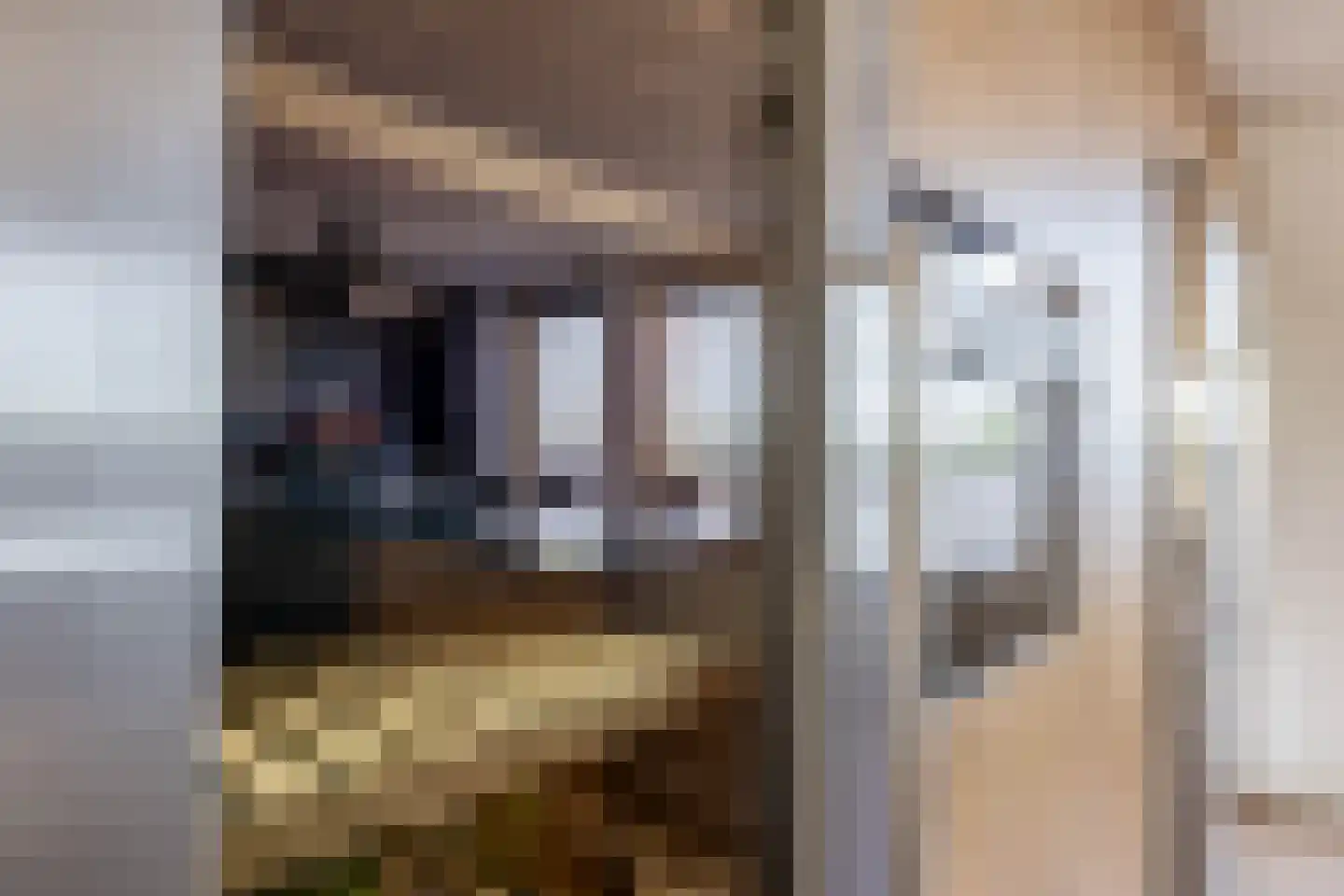 Essehout 130 Zoetermeer thumbnail 19