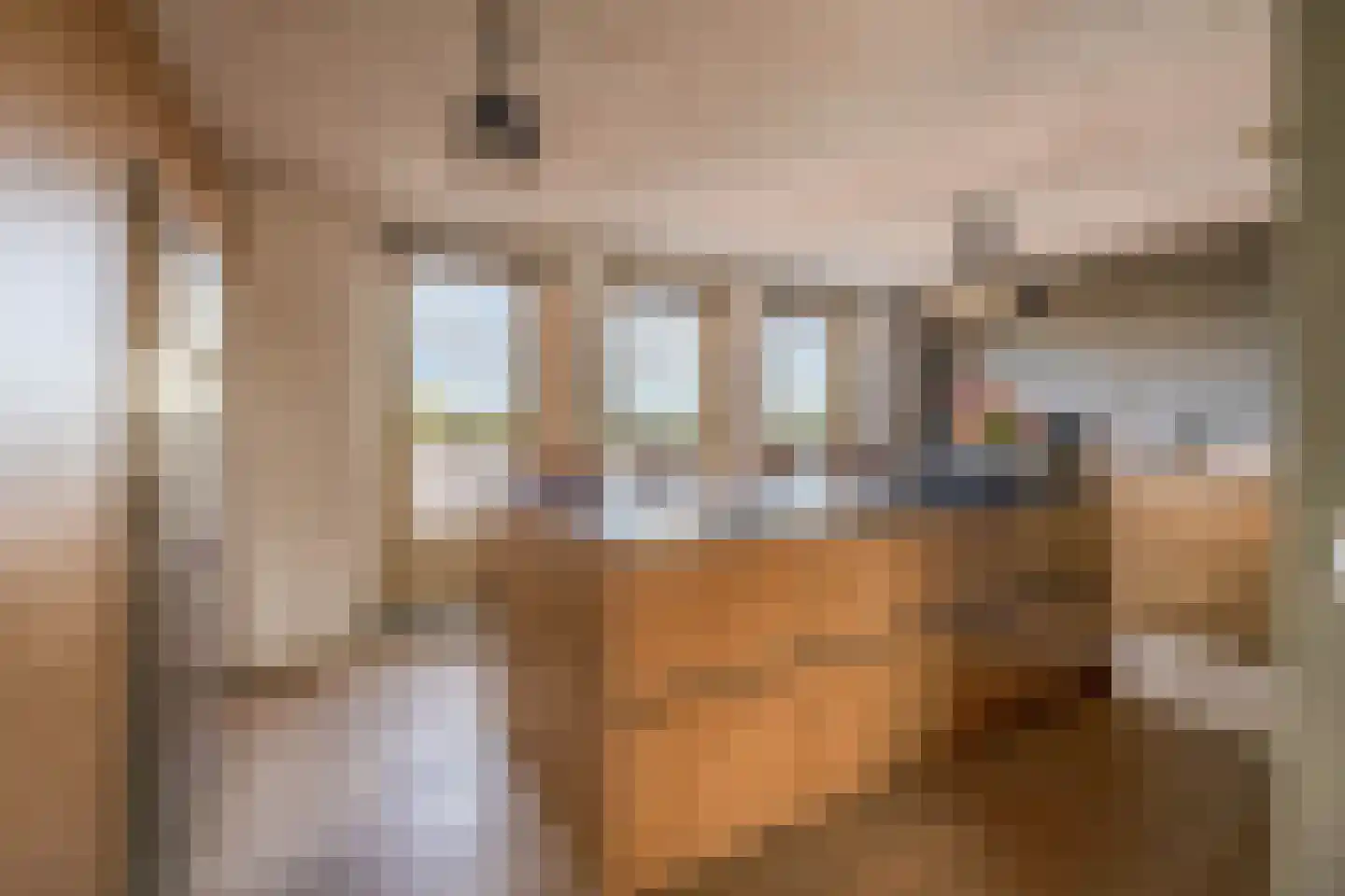 Essehout 130 Zoetermeer thumbnail 20