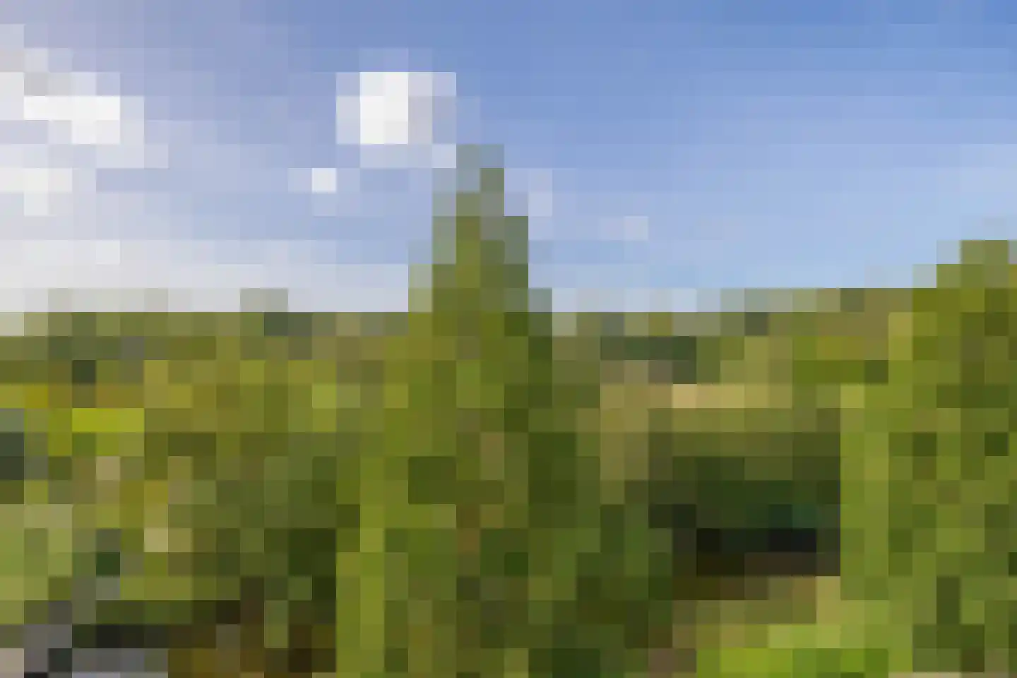 Essehout 130 Zoetermeer thumbnail 24