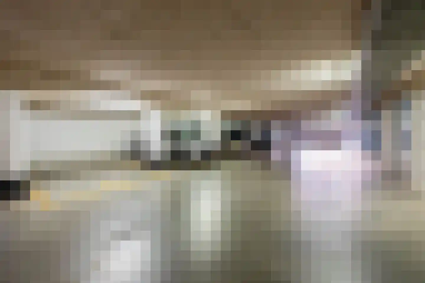 Essehout 130 Zoetermeer thumbnail 33