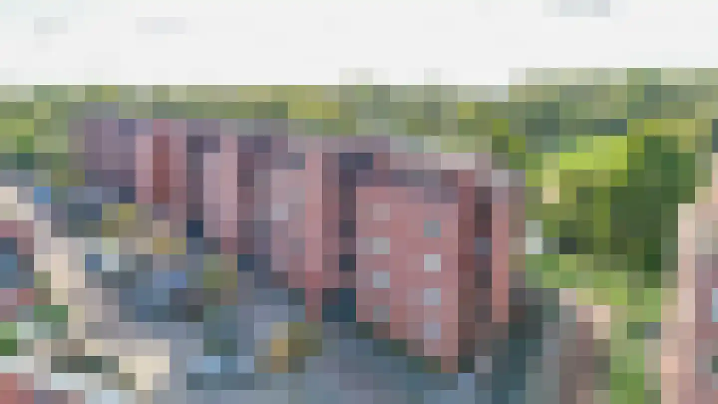 Essehout 130 Zoetermeer thumbnail 34
