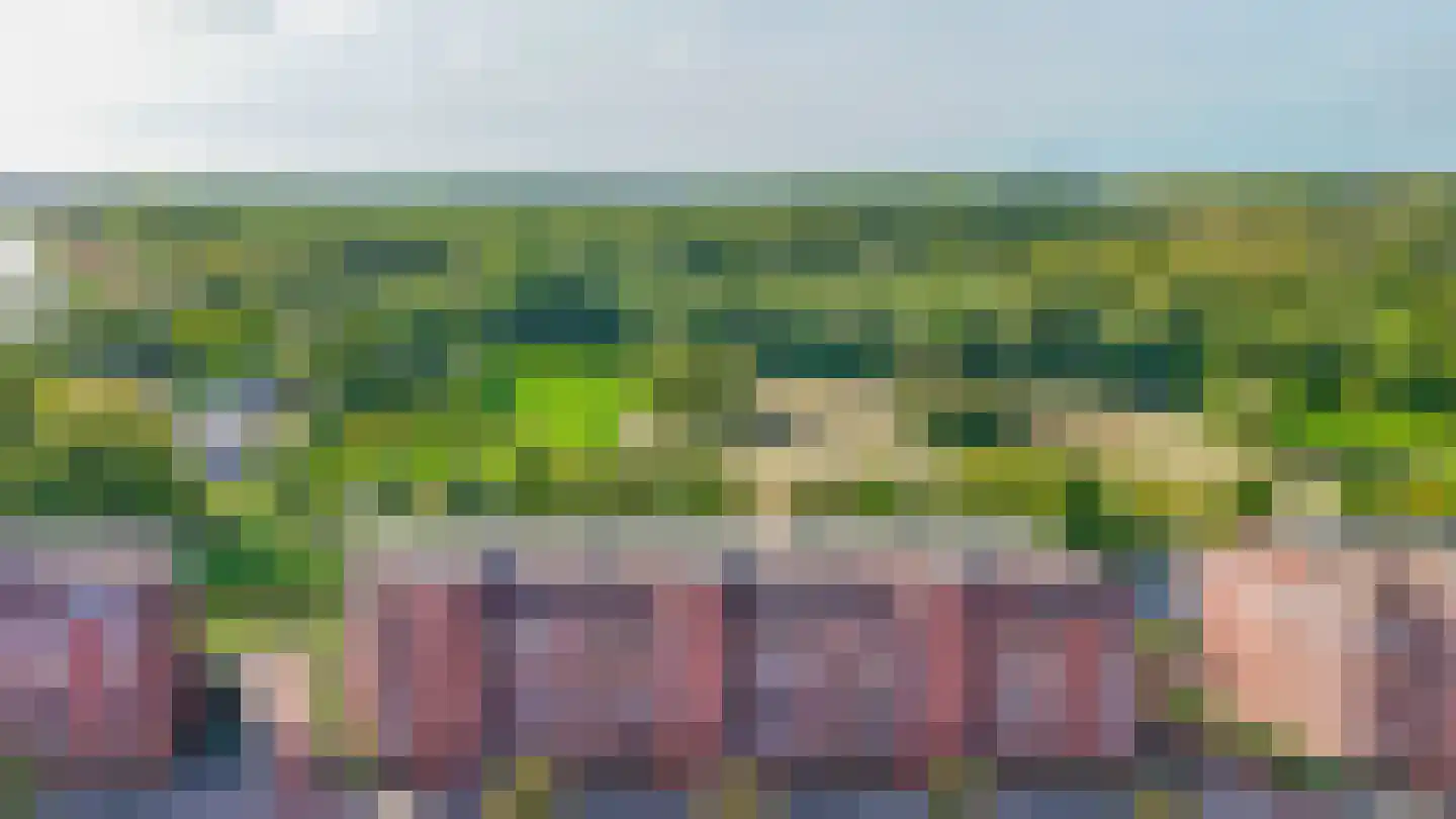 Essehout 130 Zoetermeer thumbnail 35
