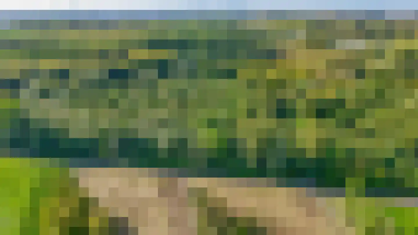 Essehout 130 Zoetermeer thumbnail 37
