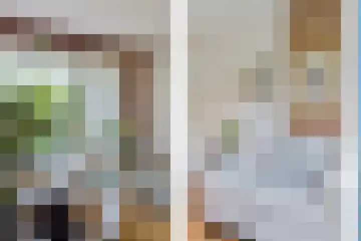 Essehout 132 Zoetermeer thumbnail 18