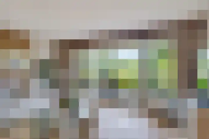 Essehout 132 Zoetermeer thumbnail 21
