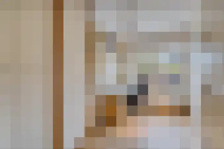 Essehout 132 Zoetermeer thumbnail 28
