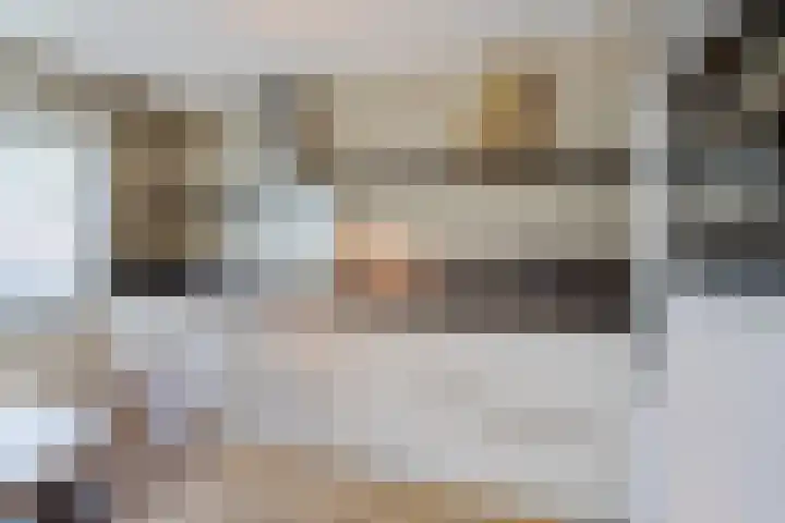 Essehout 132 Zoetermeer thumbnail 32