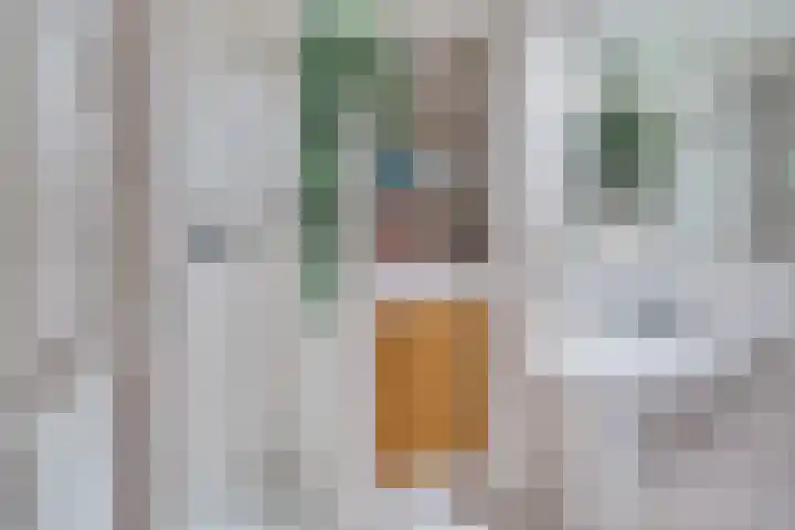 Essehout 132 Zoetermeer thumbnail 42