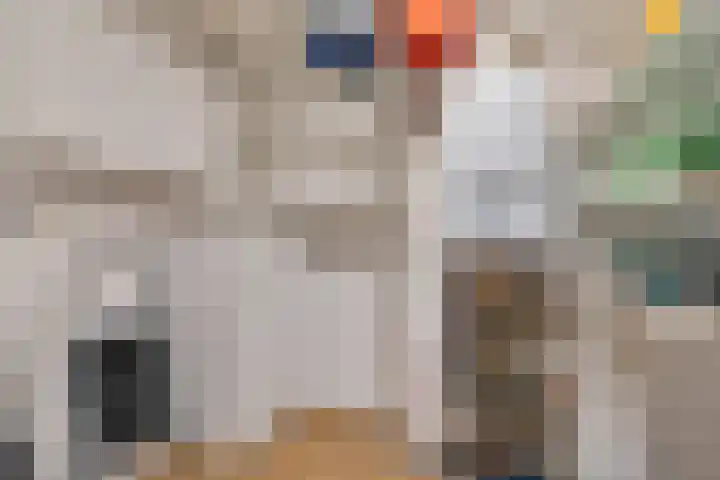 Essehout 132 Zoetermeer thumbnail 45