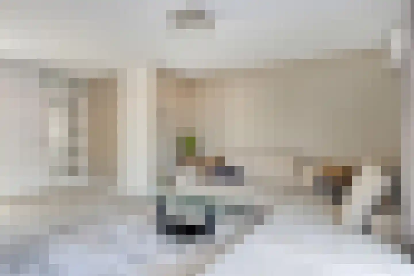 Essehout 15 Zoetermeer thumbnail 11