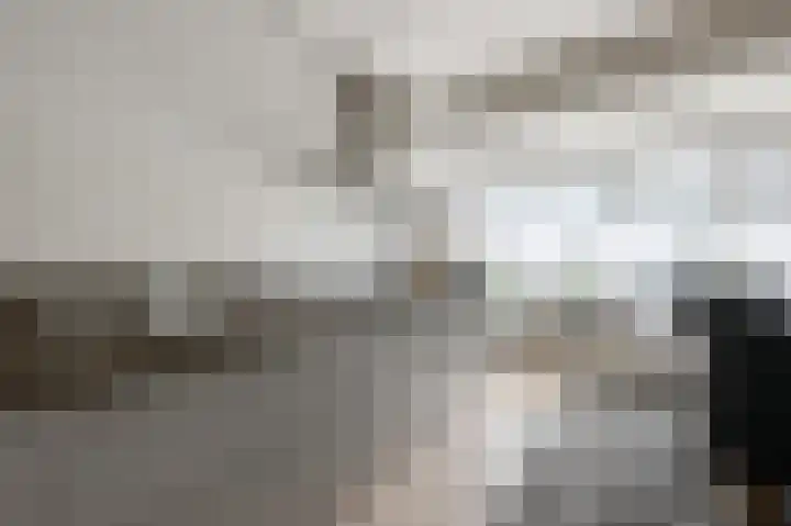 Essehout 15 Zoetermeer thumbnail 12