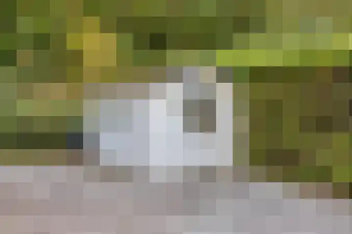Essehout 15 Zoetermeer thumbnail 13