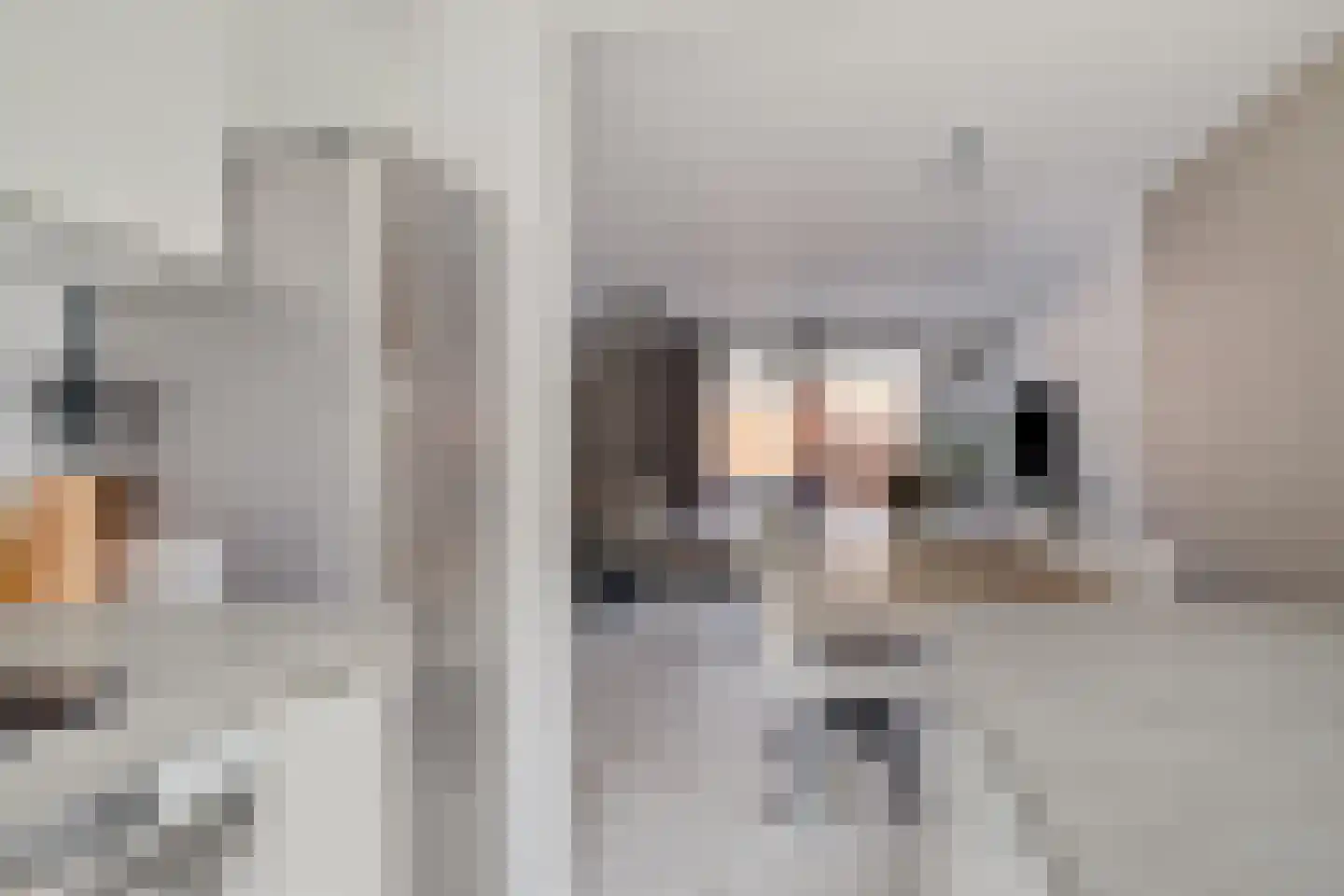 Essehout 15 Zoetermeer thumbnail 16