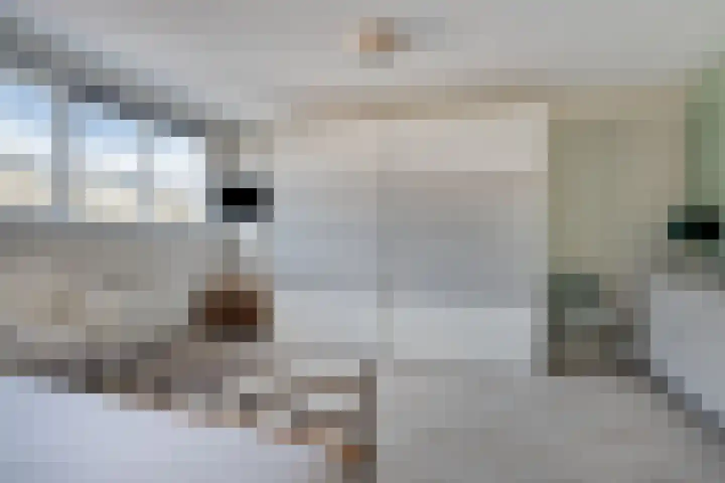 Essehout 15 Zoetermeer thumbnail 19