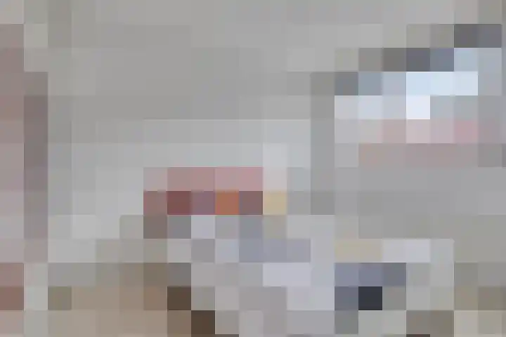 Essehout 15 Zoetermeer thumbnail 23