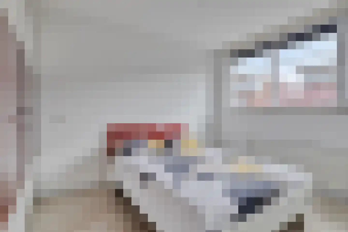 Essehout 15 Zoetermeer thumbnail 23