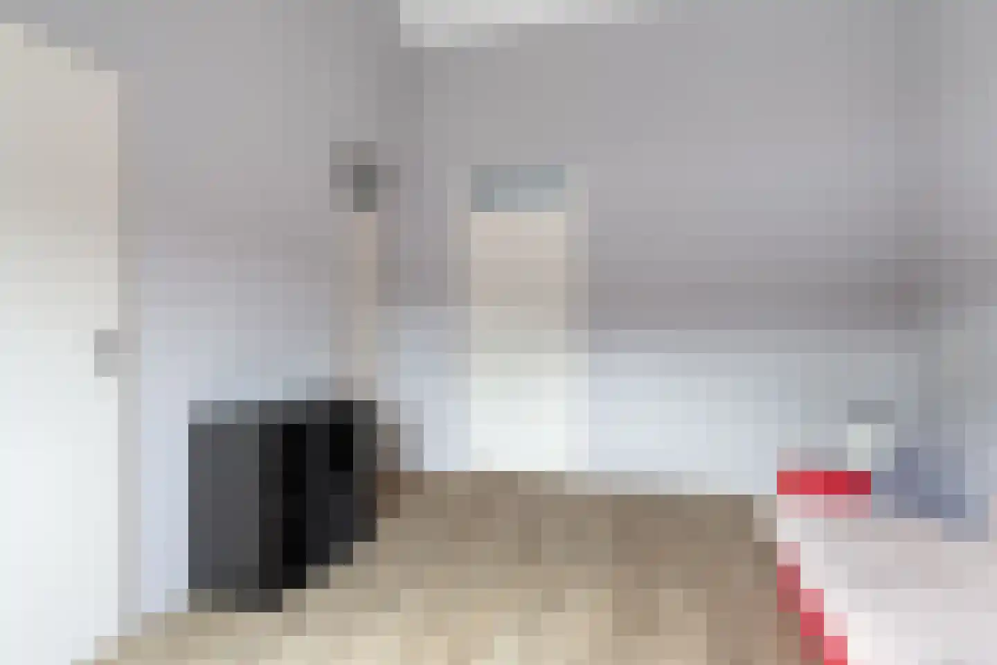 Essehout 15 Zoetermeer thumbnail 27