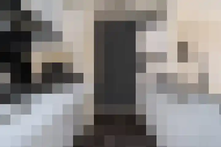 Essehout 15 Zoetermeer thumbnail 30