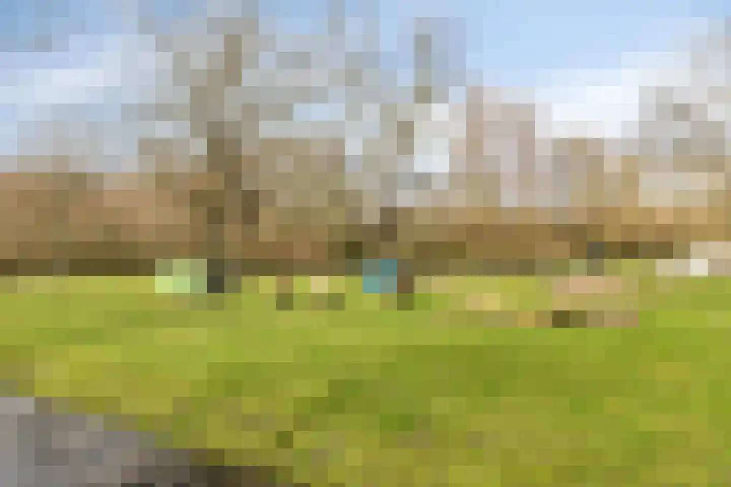 Essehout 15 Zoetermeer thumbnail 35