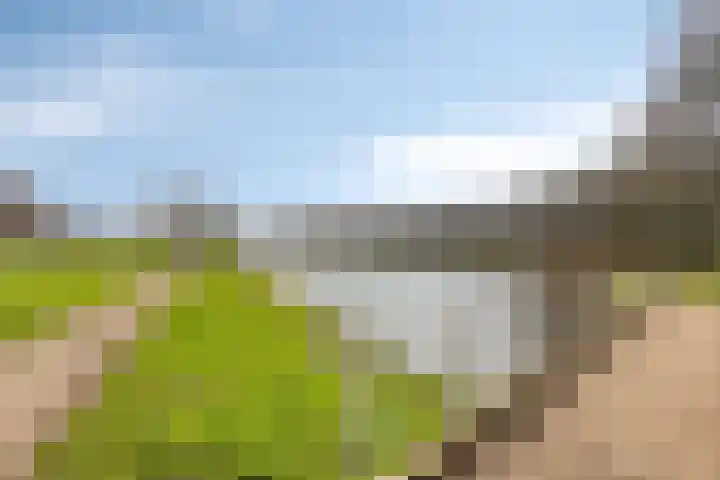 Essehout 15 Zoetermeer thumbnail 36