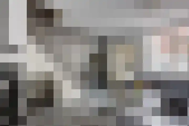 Essehout 15 Zoetermeer thumbnail 9