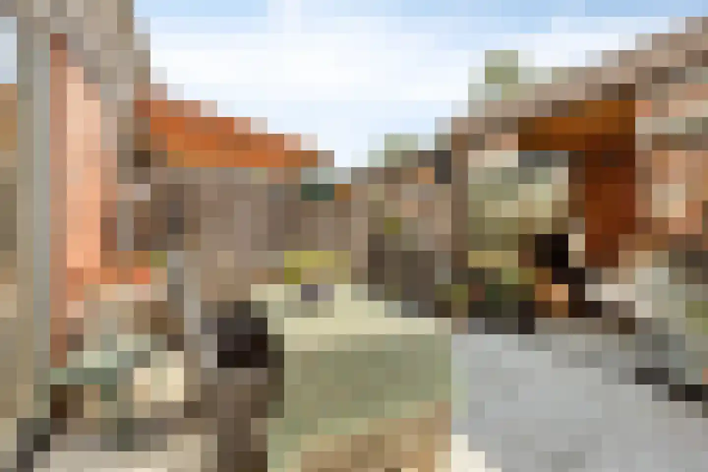 Essehout 32 Zoetermeer thumbnail 26