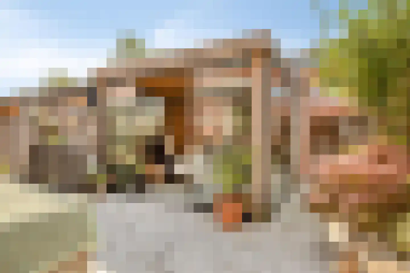 Essehout 32 Zoetermeer thumbnail 27