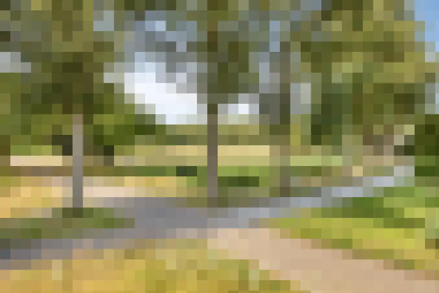 Essehout 32 Zoetermeer thumbnail 31