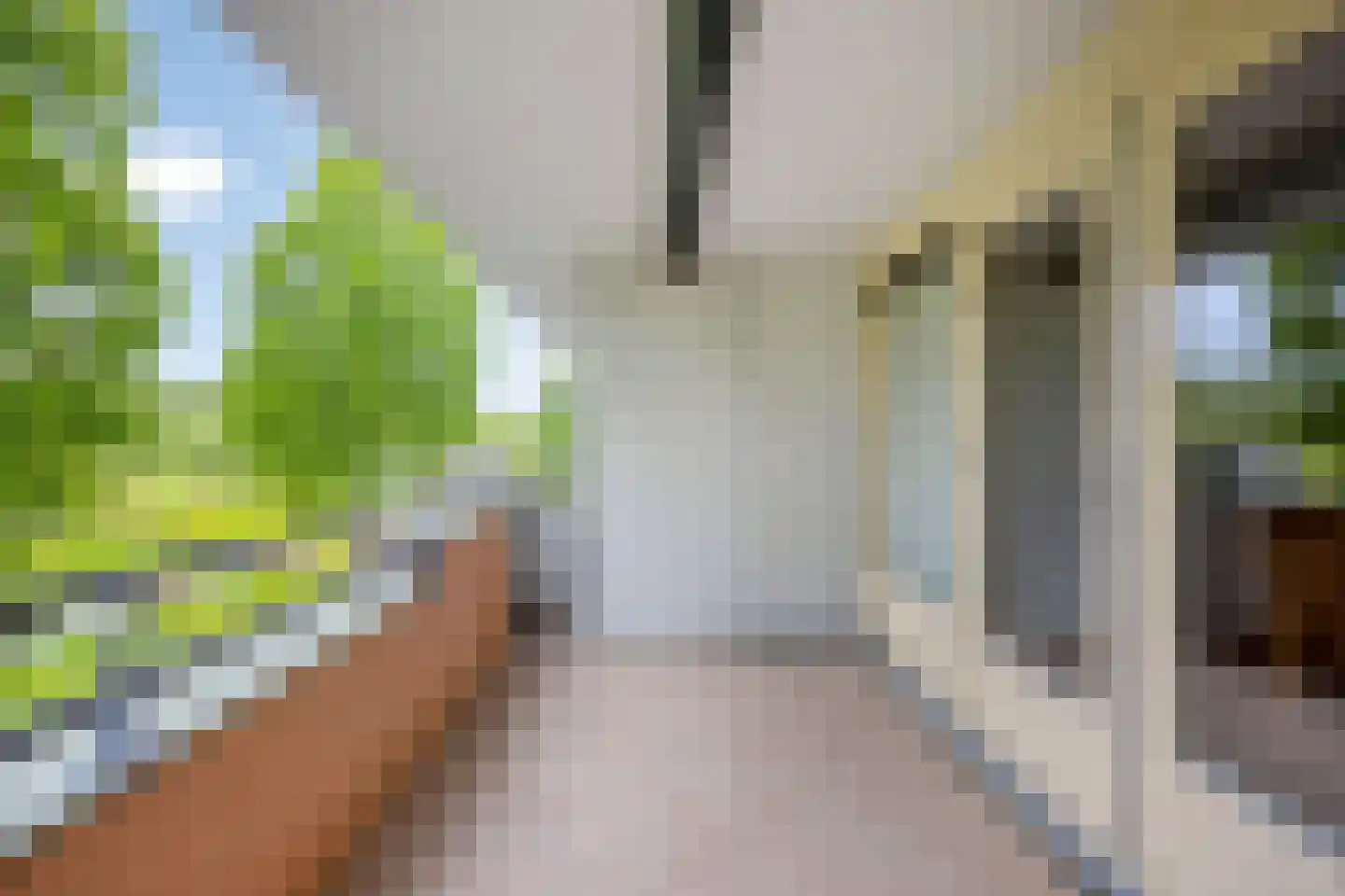 Essehout 46 Zoetermeer thumbnail 13