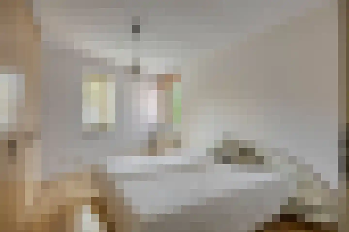 Essehout 46 Zoetermeer thumbnail 22