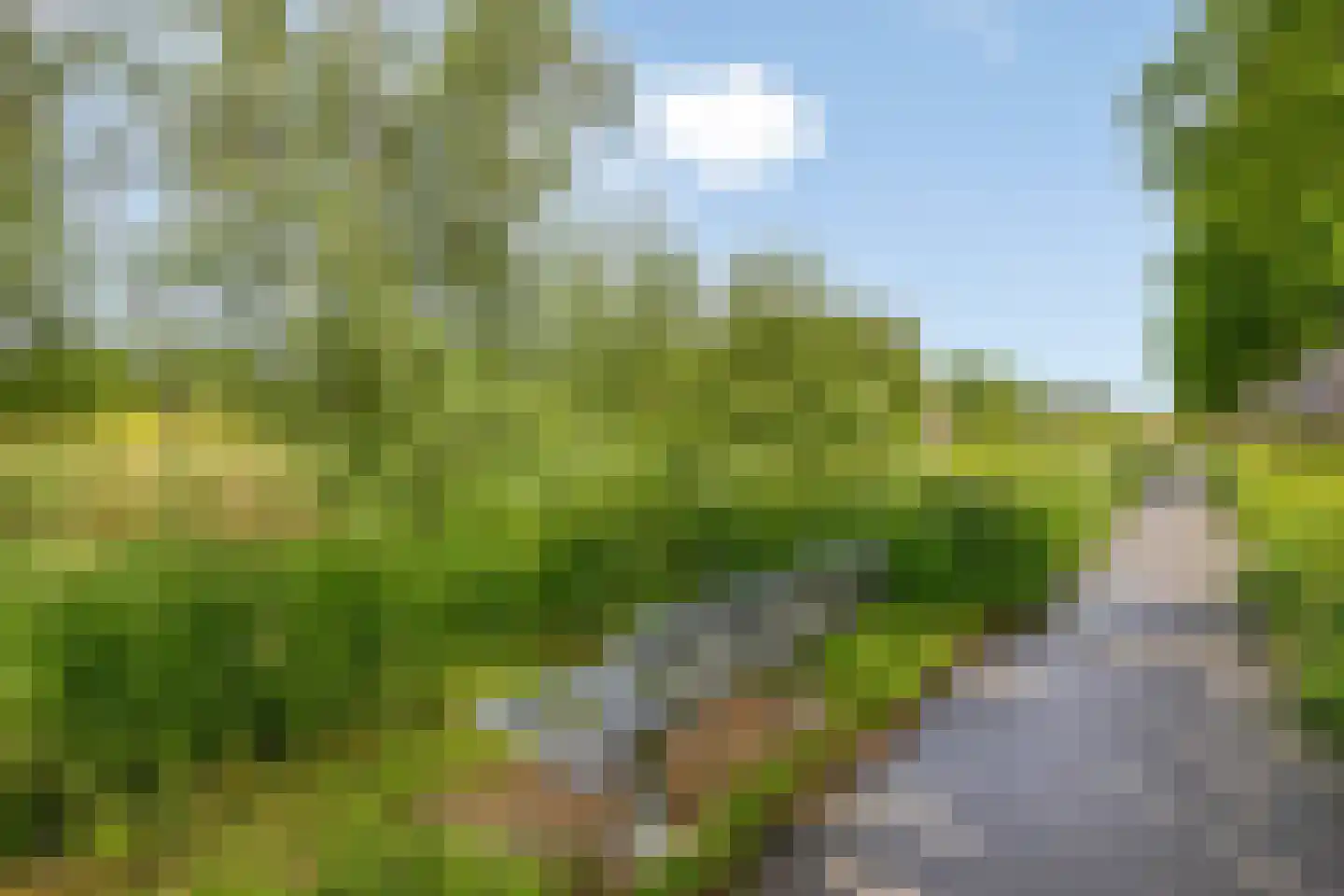 Essehout 46 Zoetermeer thumbnail 35