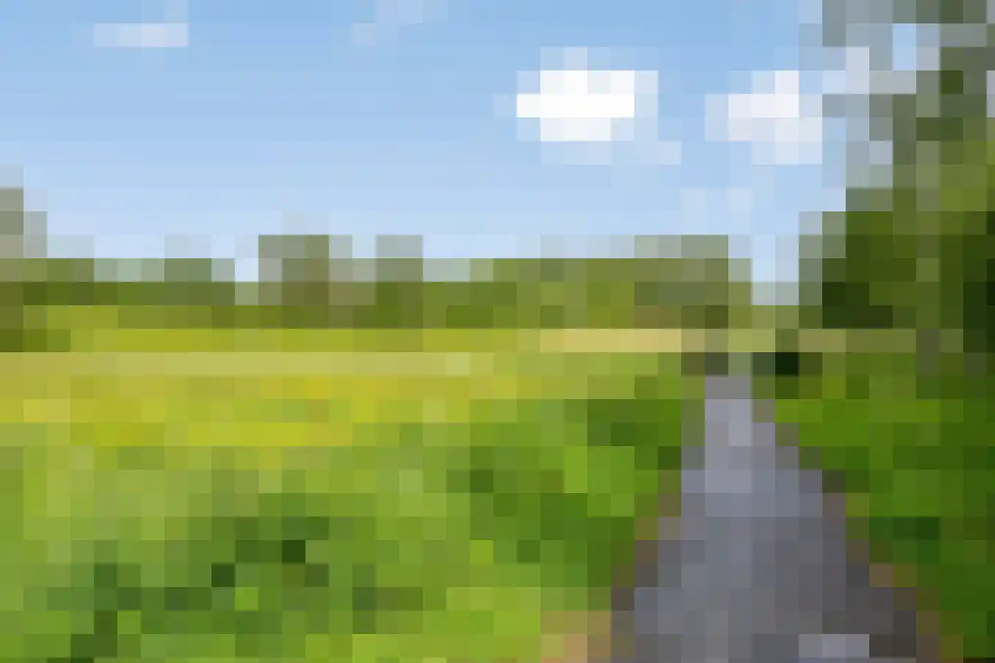 Essehout 46 Zoetermeer thumbnail 36