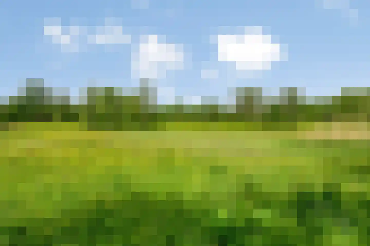 Essehout 46 Zoetermeer thumbnail 37