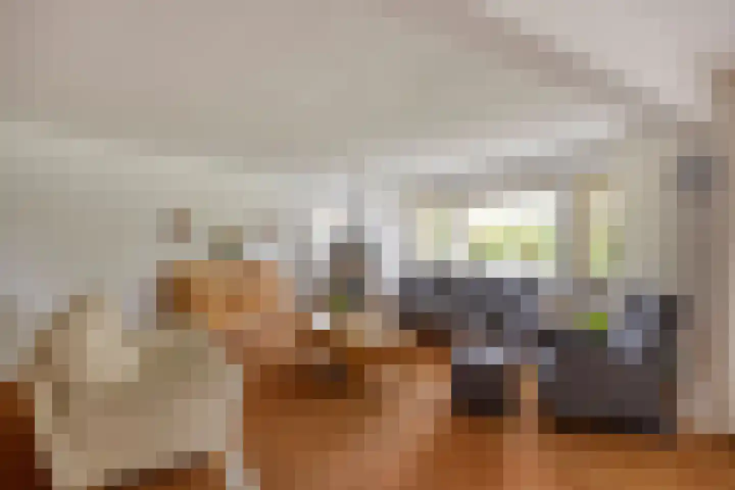 Essehout 46 Zoetermeer thumbnail 4