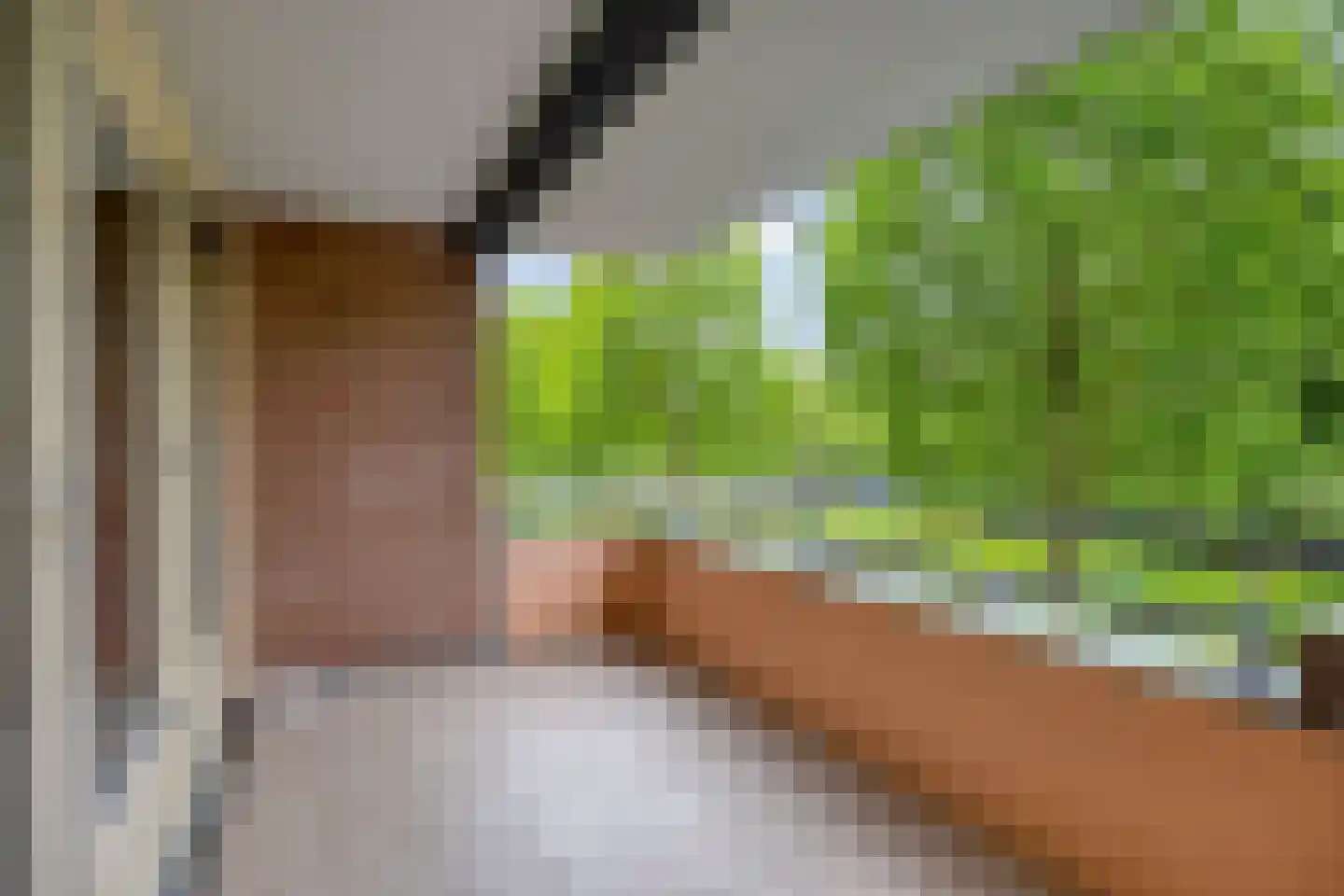 Essehout 46 Zoetermeer thumbnail 6