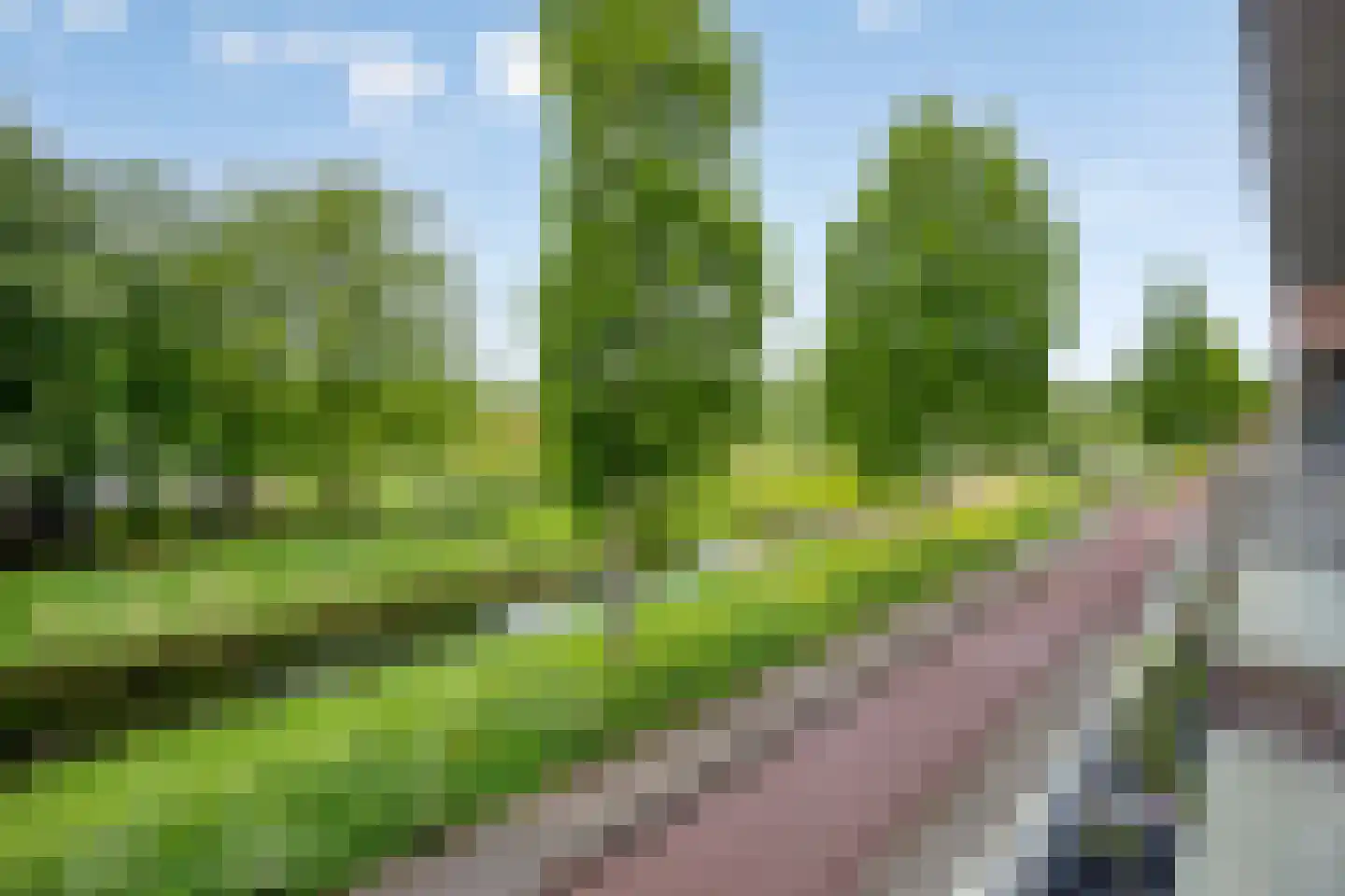 Essehout 46 Zoetermeer thumbnail 9